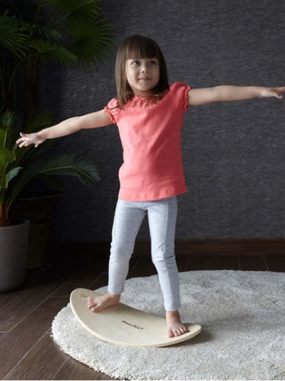 Plan Toys New In Box $89 Sustainable Wooden Balance Board